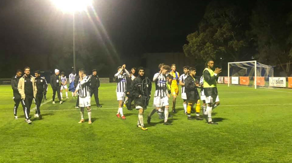 Moreland Zebras