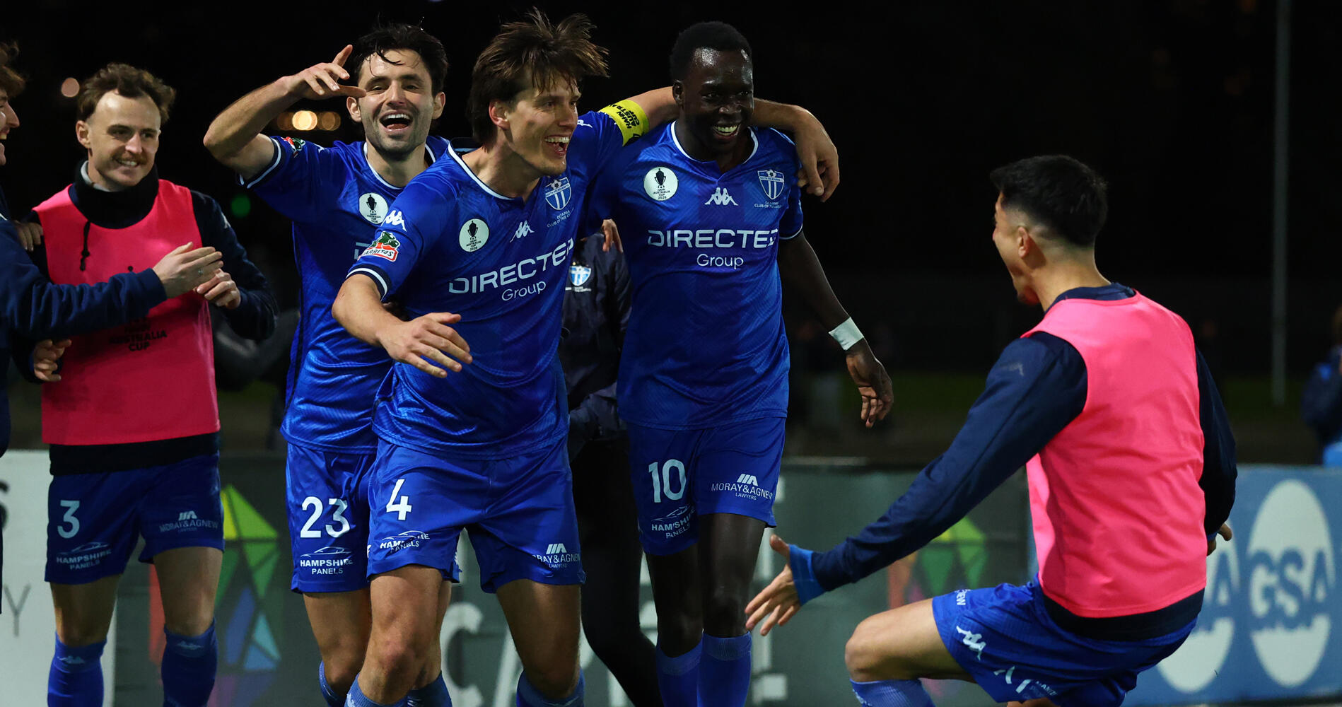 South defeat Lions to set up historic final with Victory