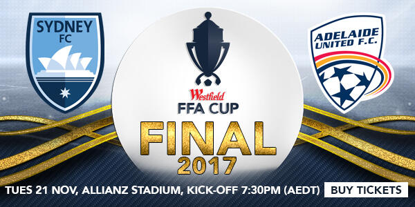 FFA Cup Final