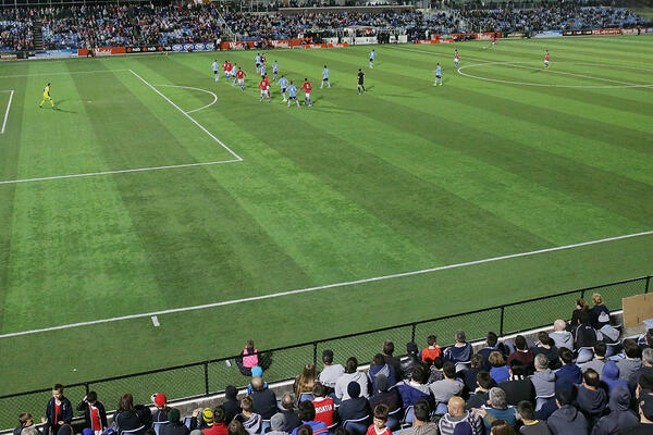 FFA Cup