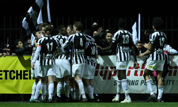 Moreland Zebras