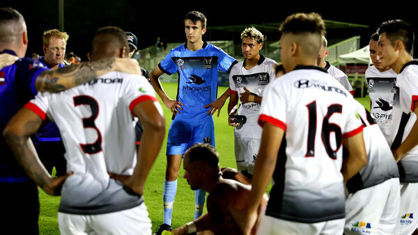 Magpies Crusaders