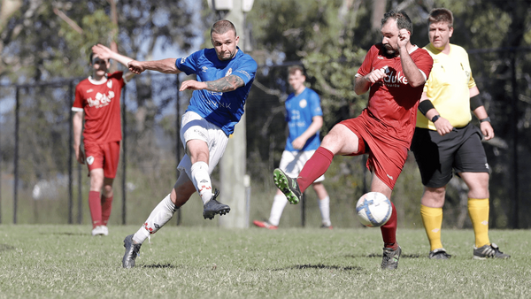 nnnsw striker 7 goals
