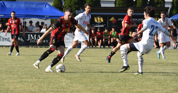 Aus Cup
