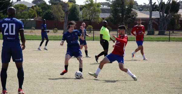 Aus Cup