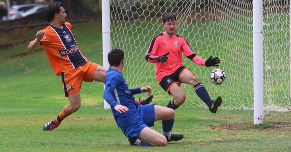 Aus Cup