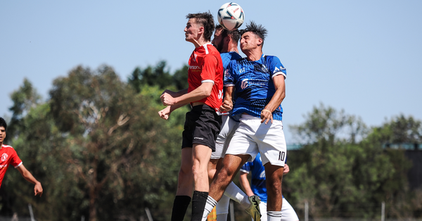 Aus Cup