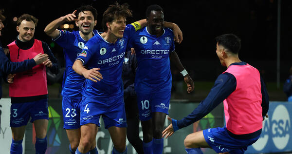 South defeat Lions to set up historic final with Victory