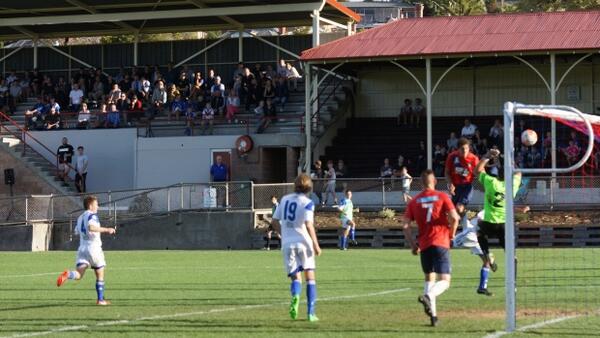 Alfred Hess climbs over the top of Takatsu to nod home the winner for South Hobart