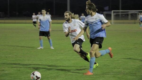 Palm Beach Sharks