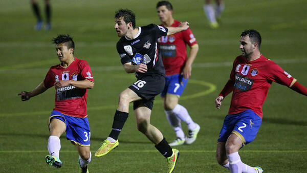 Wollongong Wolves' star striker Patrick Antelmi.