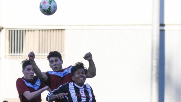 Action from Marcellin Old Collegians v East Brighton United